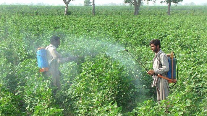 imagen noticia Atlas de los Pesticidas: la huella de un negocio tóxico en el mundo